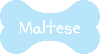 Maltese Logo